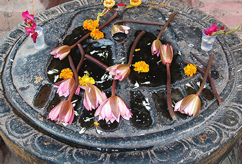 exploring and documenting